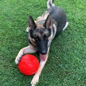 Meet your Posher, Joana